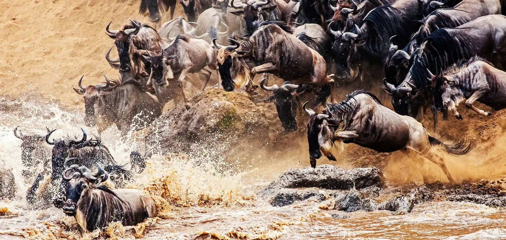 Serengeti Great Wildebeest Migration Explore Green Africa Safaris