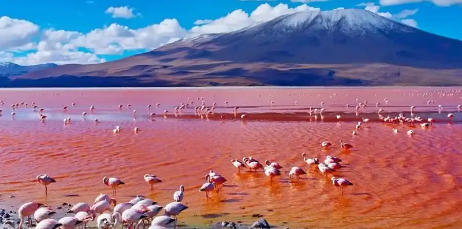 Lake Natron