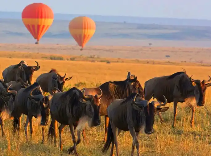 Ngorongoro Conservation Explore Green Africa Safaris