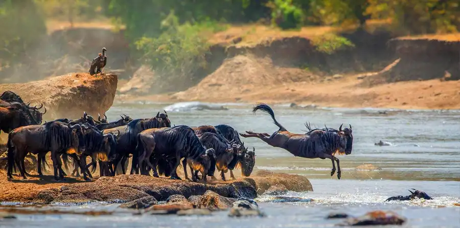 Serengeti National Park 