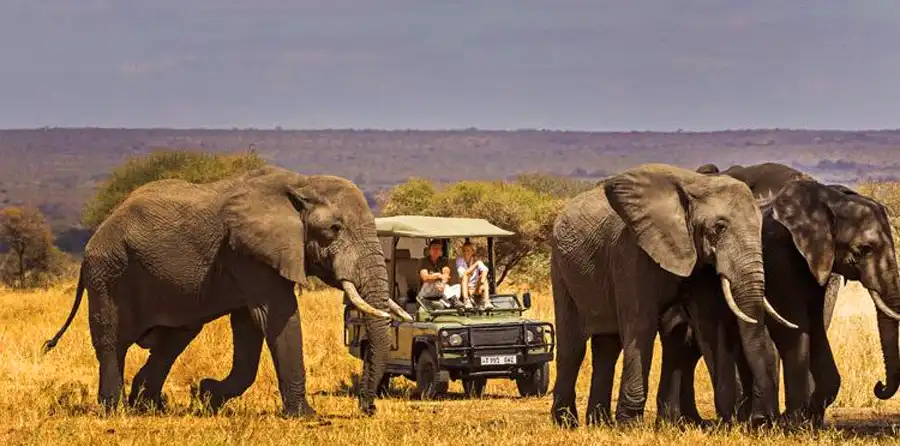 Tarangire National Park