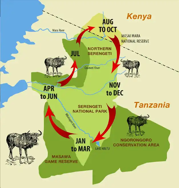 Great Wildebeest Migration