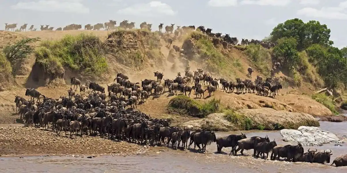 The Great Migration in August, September and October